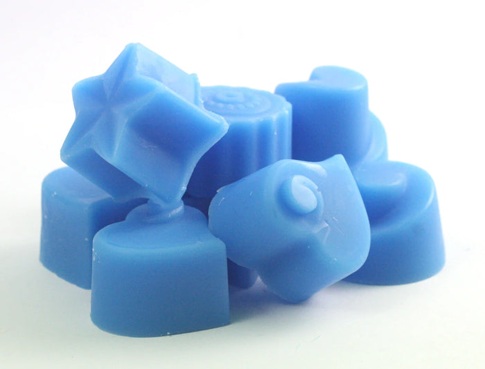48 Blue Coral & Sea Salt Handpoured Highly Scented Wax Melts / Tarts 5g