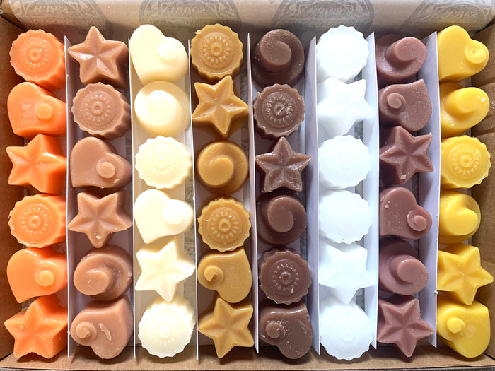 Spicy and Woody Wax Melt Scent Selection Box